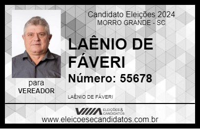 Candidato LAÊNIO DE FÁVERI 2024 - MORRO GRANDE - Eleições