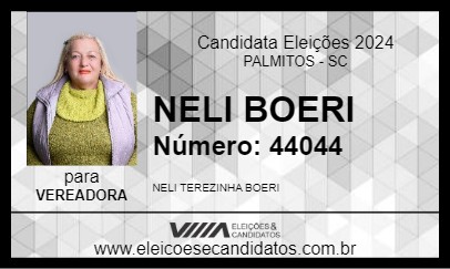 Candidato NELI BOERI 2024 - PALMITOS - Eleições