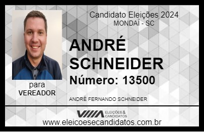 Candidato ANDRÉ SCHNEIDER 2024 - MONDAÍ - Eleições