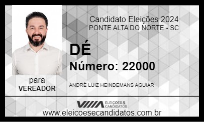 Candidato DÉ 2024 - PONTE ALTA DO NORTE - Eleições