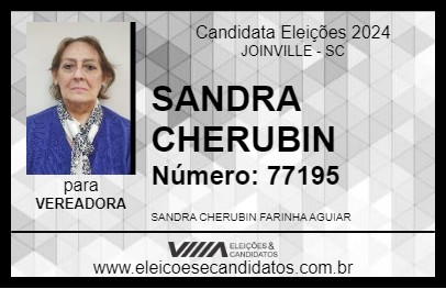 Candidato SANDRA CHERUBIN 2024 - JOINVILLE - Eleições