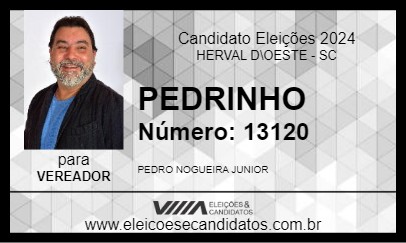 Candidato PEDRINHO 2024 - HERVAL D\OESTE - Eleições