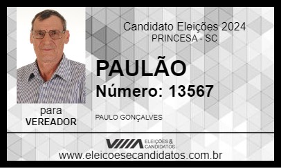 Candidato PAULÃO 2024 - PRINCESA - Eleições