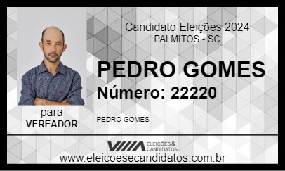 Candidato PEDRO GOMES 2024 - PALMITOS - Eleições