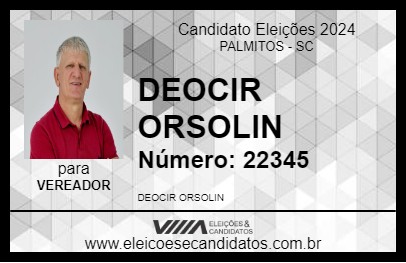 Candidato DEOCIR ORSOLIN 2024 - PALMITOS - Eleições