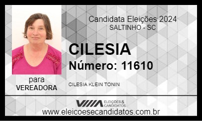 Candidato CILESIA  2024 - SALTINHO - Eleições