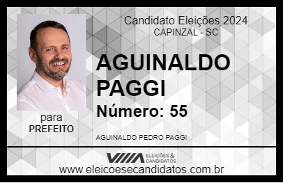 Candidato AGUINALDO PAGGI 2024 - CAPINZAL - Eleições