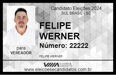 Candidato FELIPE WERNER 2024 - SUL BRASIL - Eleições