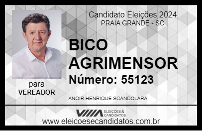 Candidato BICO AGRIMENSOR 2024 - PRAIA GRANDE - Eleições