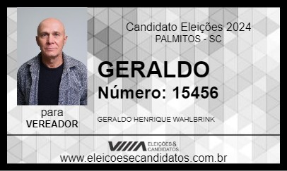 Candidato GERALDO 2024 - PALMITOS - Eleições