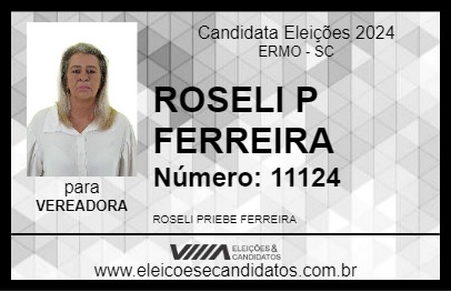 Candidato ROSELI P FERREIRA 2024 - ERMO - Eleições