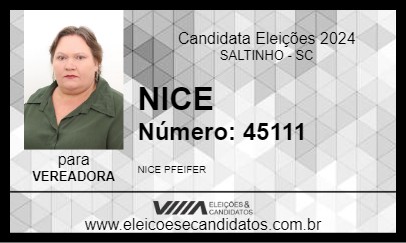 Candidato NICE 2024 - SALTINHO - Eleições