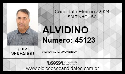 Candidato ALVIDINO 2024 - SALTINHO - Eleições