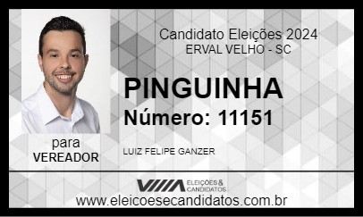 Candidato PINGUINHA 2024 - ERVAL VELHO - Eleições