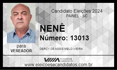 Candidato NENÊ 2024 - PAINEL - Eleições