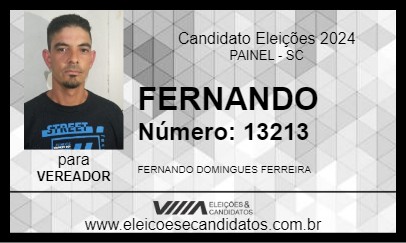 Candidato FERNANDO 2024 - PAINEL - Eleições