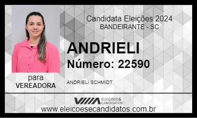 Candidato ANDRIELI 2024 - BANDEIRANTE - Eleições