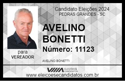 Candidato AVELINO BONETTI 2024 - PEDRAS GRANDES - Eleições