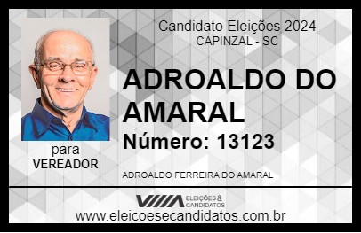 Candidato ADROALDO DO AMARAL 2024 - CAPINZAL - Eleições