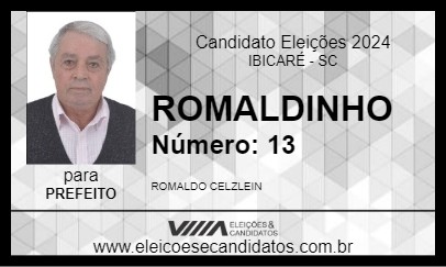 Candidato ROMALDINHO 2024 - IBICARÉ - Eleições