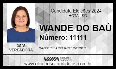 Candidato WANDE DO BAÚ 2024 - ILHOTA - Eleições