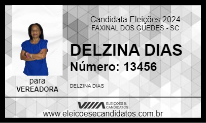 Candidato DELZINA DIAS 2024 - FAXINAL DOS GUEDES - Eleições