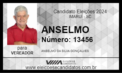 Candidato ANSELMO 2024 - IMARUÍ - Eleições