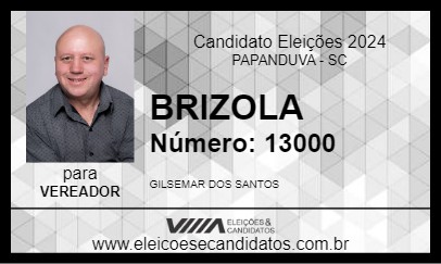 Candidato BRIZOLA 2024 - PAPANDUVA - Eleições