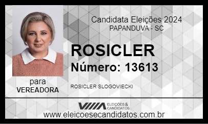 Candidato ROSICLER 2024 - PAPANDUVA - Eleições