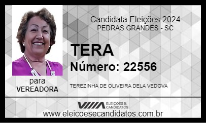 Candidato TERA 2024 - PEDRAS GRANDES - Eleições