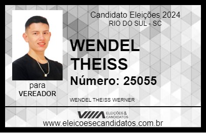 Candidato WENDEL THEISS 2024 - RIO DO SUL - Eleições