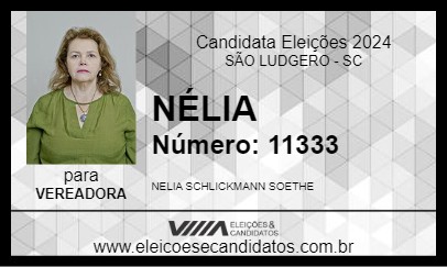 Candidato NÉLIA 2024 - SÃO LUDGERO - Eleições