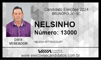 Candidato NELSINHO 2024 - BRUNÓPOLIS - Eleições