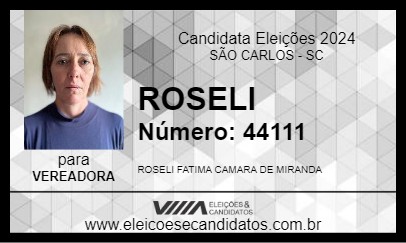 Candidato ROSELI 2024 - SÃO CARLOS - Eleições