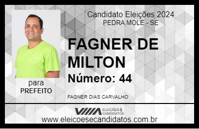 Candidato FAGNER DE MILTON 2024 - PEDRA MOLE - Eleições