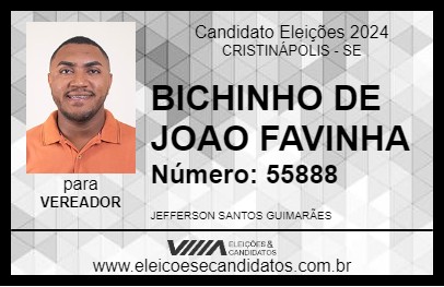 Candidato BICHINHO DE JOAO FAVINHA 2024 - CRISTINÁPOLIS - Eleições