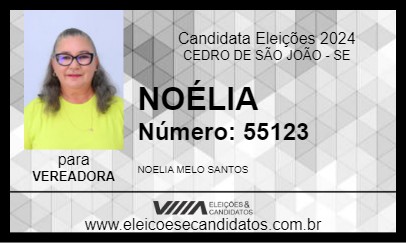 Candidato NOÉLIA 2024 - CEDRO DE SÃO JOÃO - Eleições