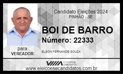 Candidato BOI DE BARRO 2024 - PINHÃO - Eleições