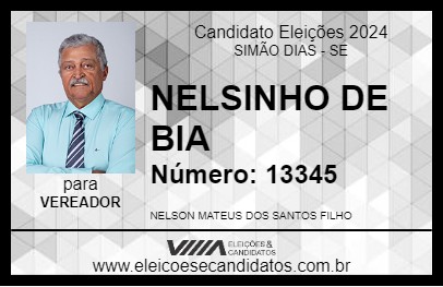 Candidato NELSINHO DE BIA 2024 - SIMÃO DIAS - Eleições