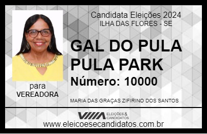 Candidato GAL DO PULA PULA PARK 2024 - ILHA DAS FLORES - Eleições