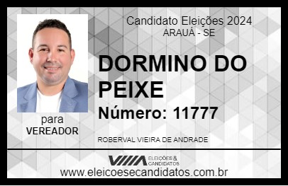 Candidato DORMINO DO PEIXE 2024 - ARAUÁ - Eleições