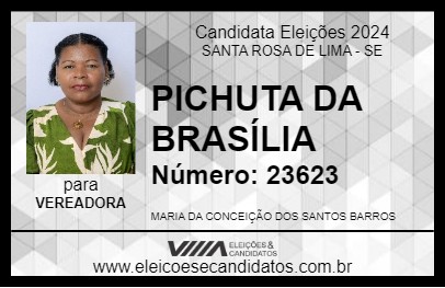 Candidato PICHUTA DA BRASÍLIA 2024 - SANTA ROSA DE LIMA - Eleições