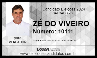 Candidato ZÉ DO VIVEIRO 2024 - SALGADO - Eleições