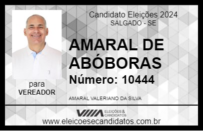 Candidato AMARAL DE ABÓBORAS 2024 - SALGADO - Eleições