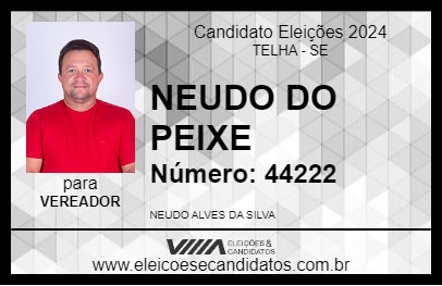 Candidato NEUDO DO PEIXE 2024 - TELHA - Eleições