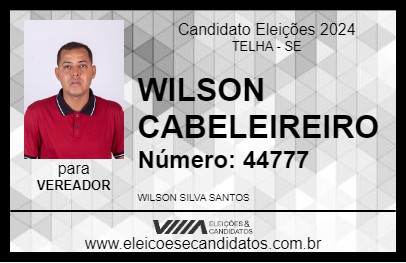 Candidato WILSON CABELEIREIRO 2024 - TELHA - Eleições