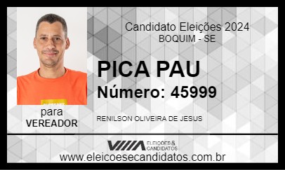 Candidato PICA PAU 2024 - BOQUIM - Eleições