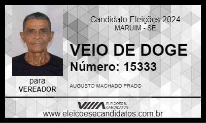 Candidato VEIO DE DOGE 2024 - MARUIM - Eleições