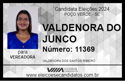 Candidato VALDENORA DO JUNCO 2024 - POÇO VERDE - Eleições