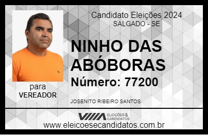 Candidato NINHO DAS ABÓBORAS 2024 - SALGADO - Eleições